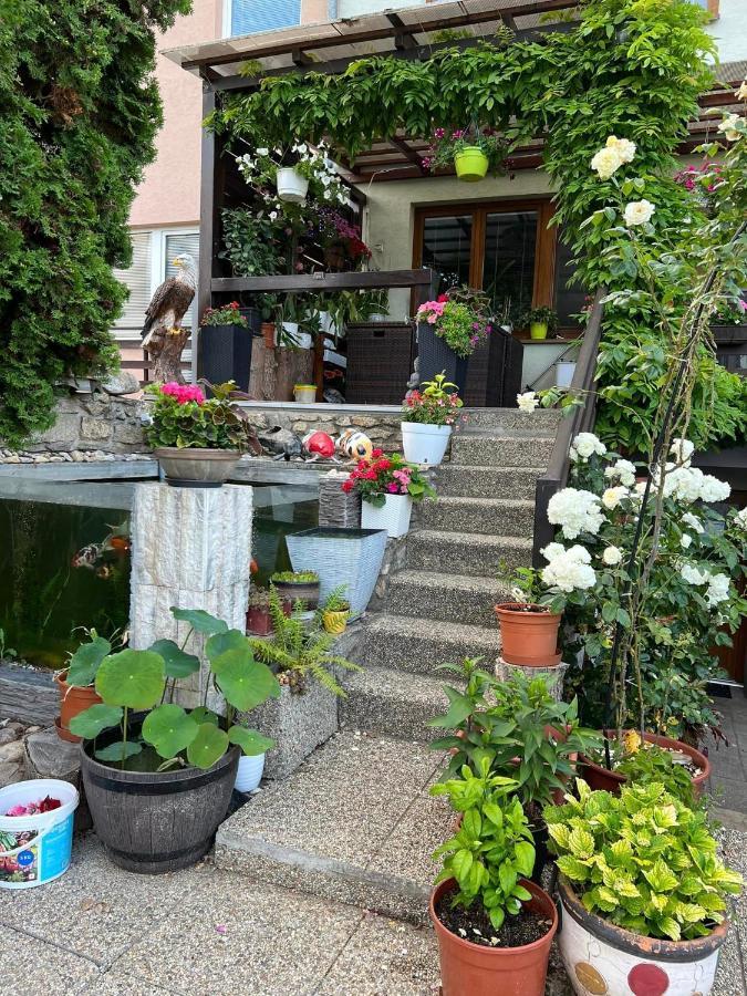 Ubytovani Na Hrazi 91 Znojmo Luaran gambar