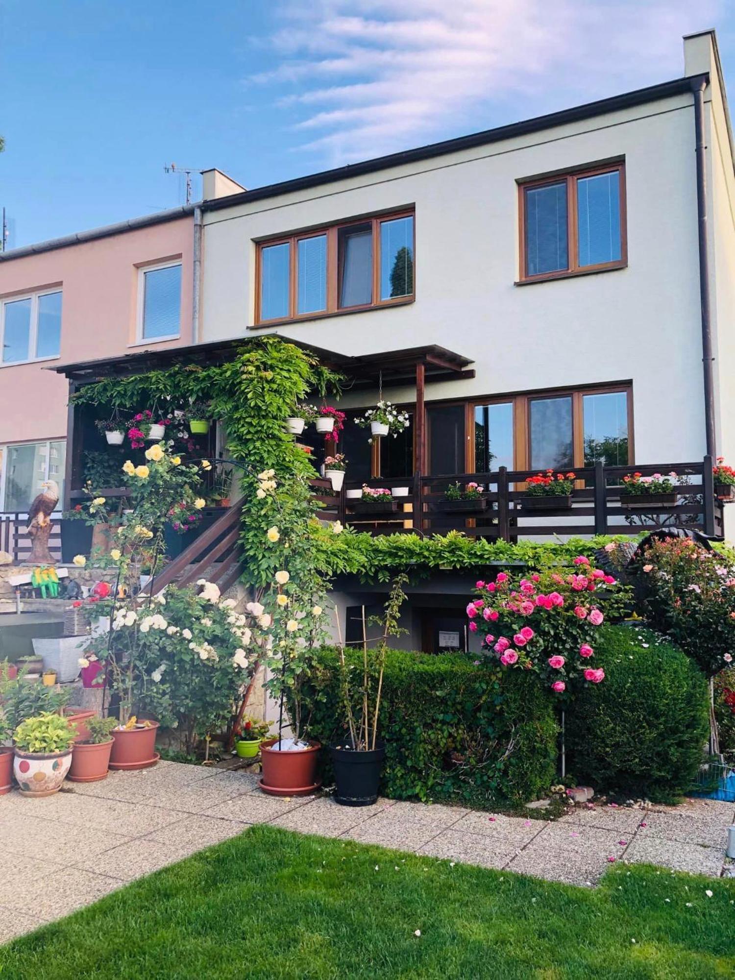 Ubytovani Na Hrazi 91 Znojmo Luaran gambar