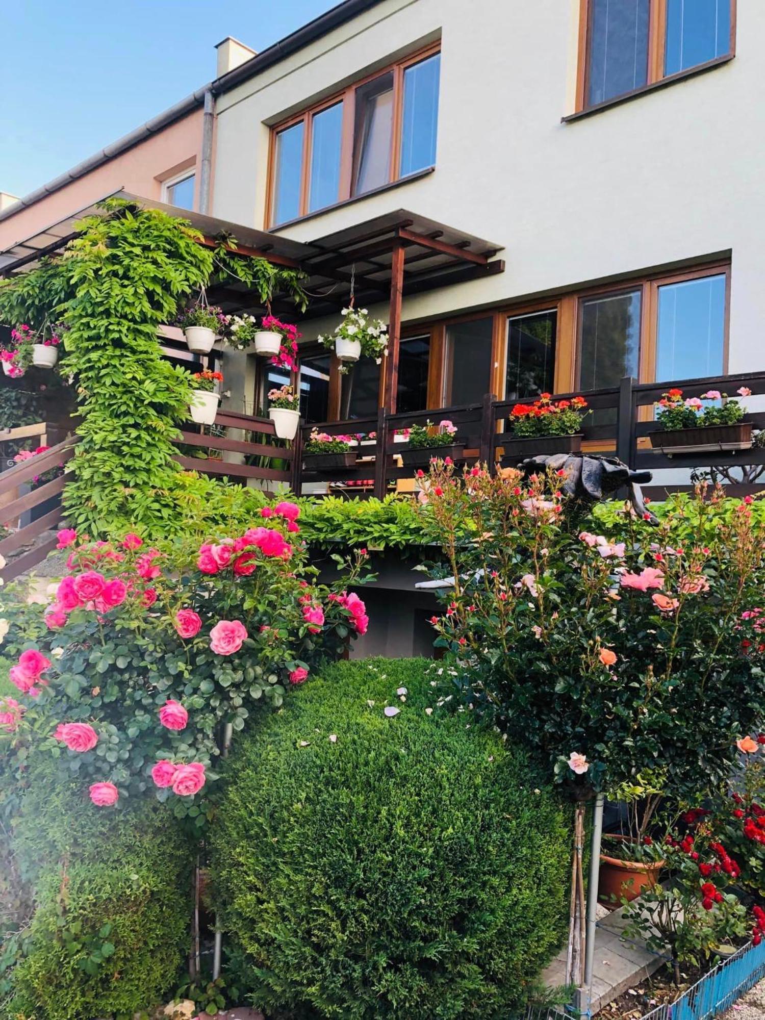 Ubytovani Na Hrazi 91 Znojmo Luaran gambar