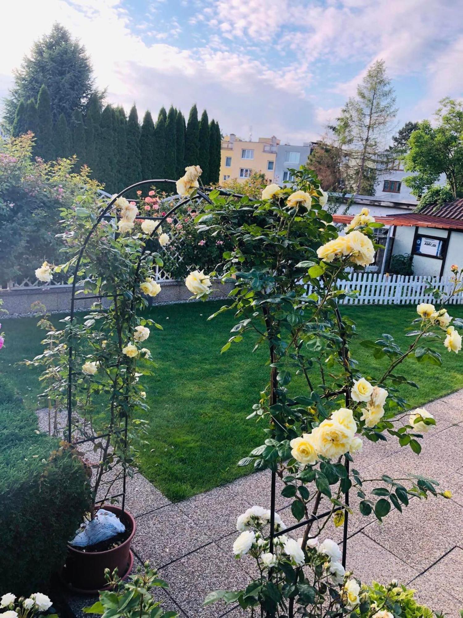 Ubytovani Na Hrazi 91 Znojmo Luaran gambar